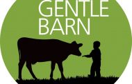 Difference Maker Series April 12, 2016 with Guest Ellie Laks of The Gentle Barn