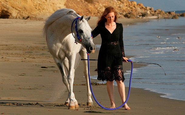 Treating Rescues Like Royalty with Guest Esta Bernstein and Musical Guest Jeremiah Clark - Show #436