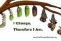 I Change, Therefore I Am